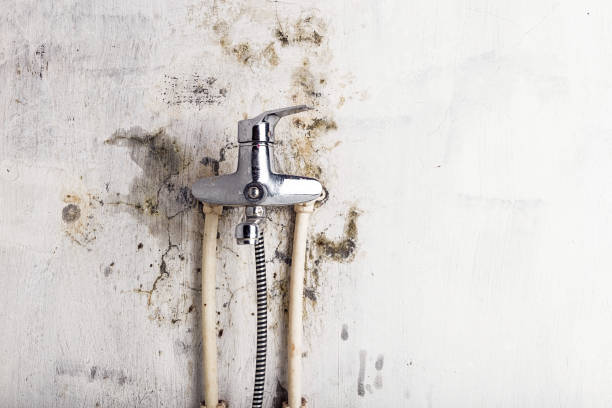 Water Damage Restoration in Freedom, CA