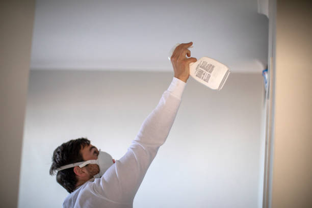 Best Mold Removal and Inspection  in Freedom, CA