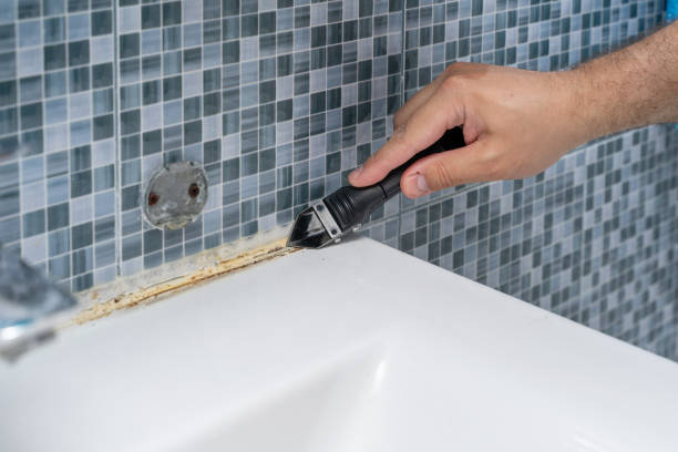 Best Crawl Space Mold Removal  in Freedom, CA