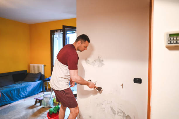 Best Local Mold Removal Service  in Freedom, CA